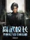 高武校长,我的实力是全校总和!